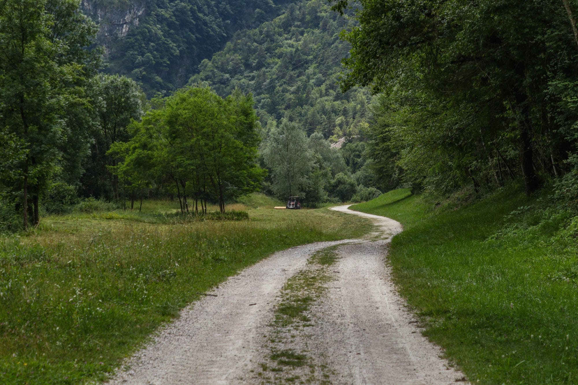 Gravel trail winding into lush green forest